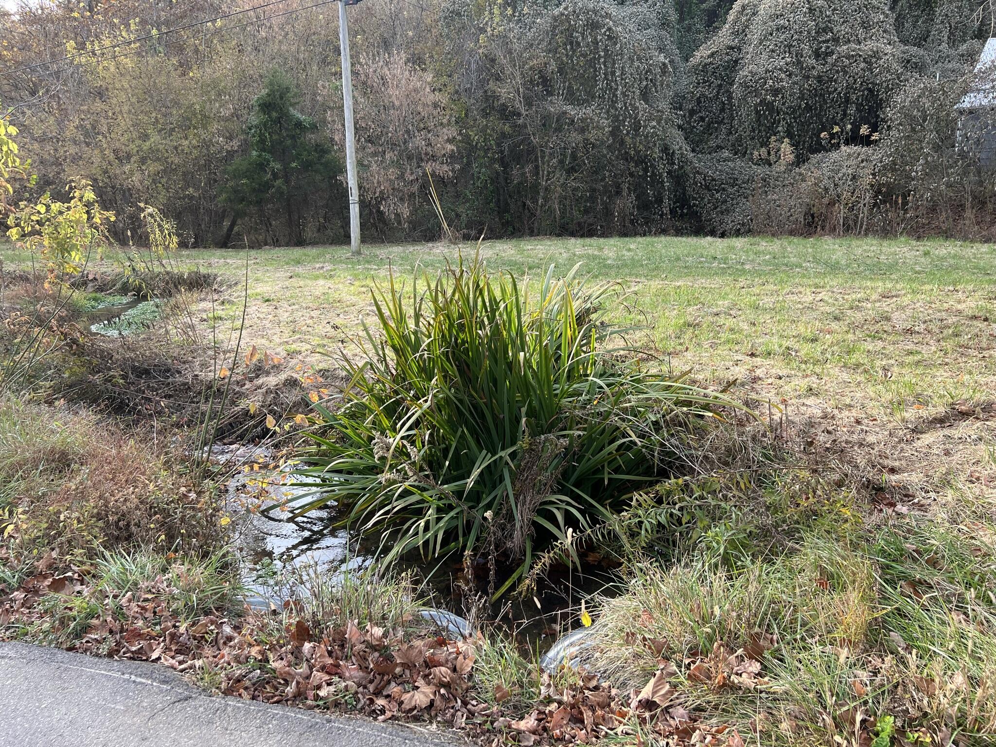 614 Gass Memorial Road Greeneville, TN 37745 - Photo 24 of 47 IMG_6853