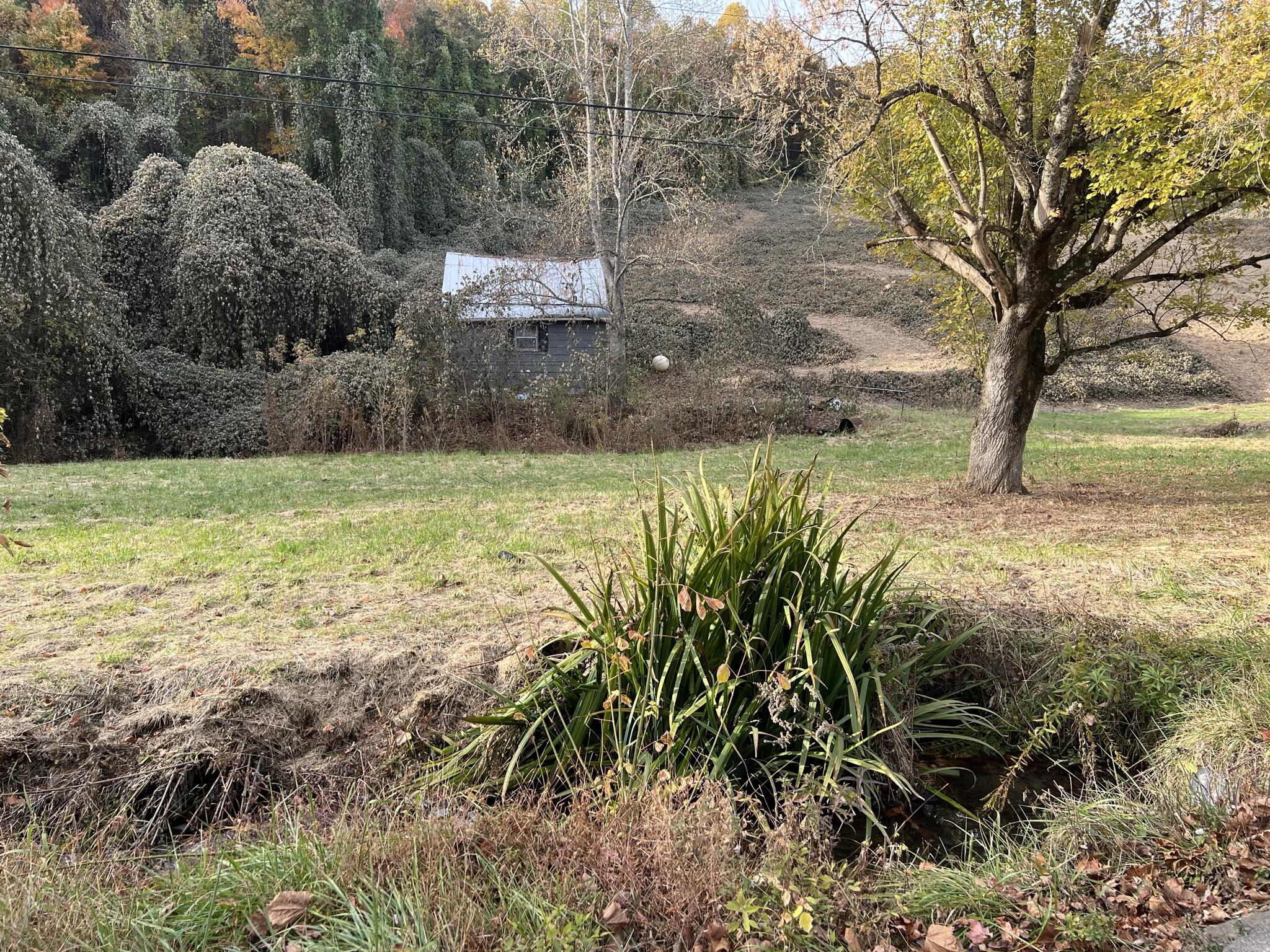 614 Gass Memorial Road Greeneville, TN 37745 - Photo 26 of 47 IMG_6855