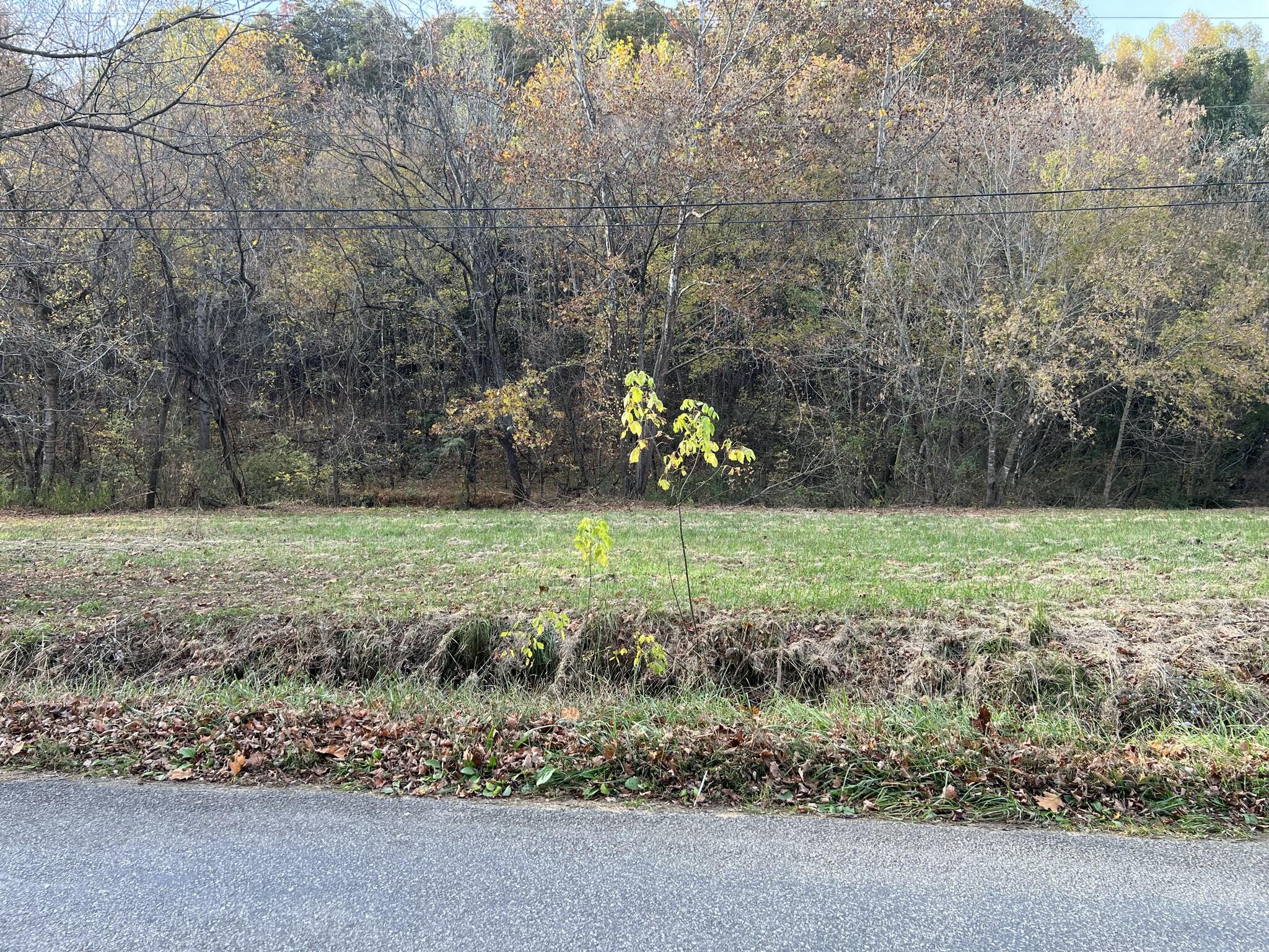 614 Gass Memorial Road Greeneville, TN 37745 - Photo 27 of 47 IMG_6856