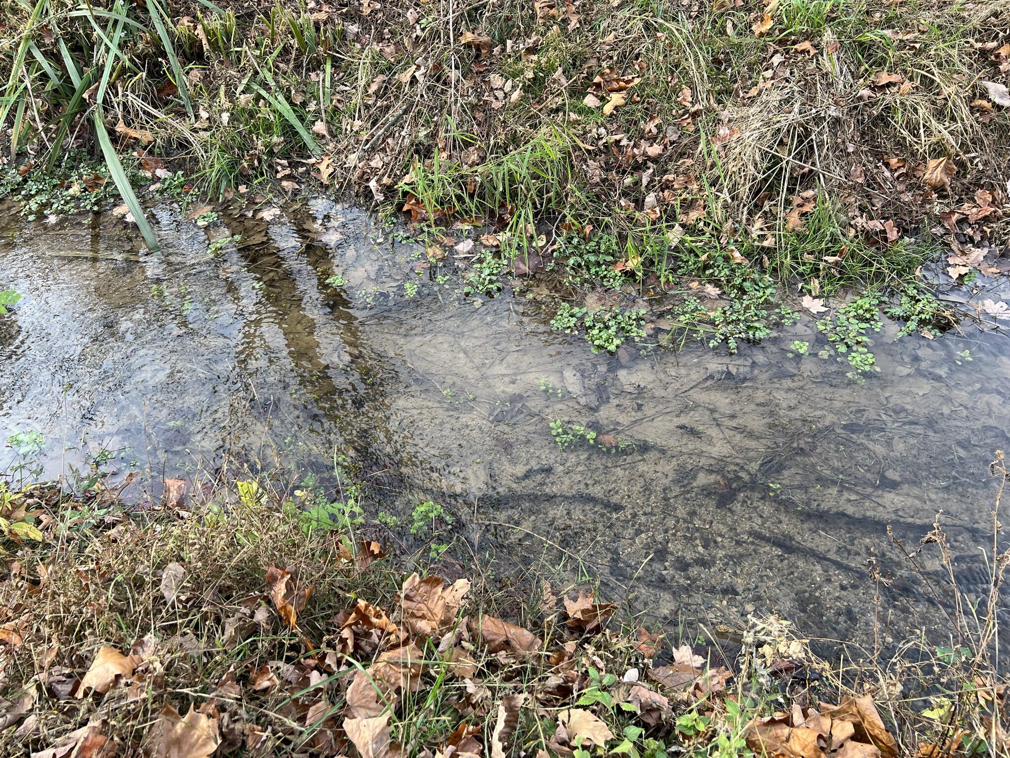 614 Gass Memorial Road Greeneville, TN 37745 - Photo 29 of 47 IMG_6858