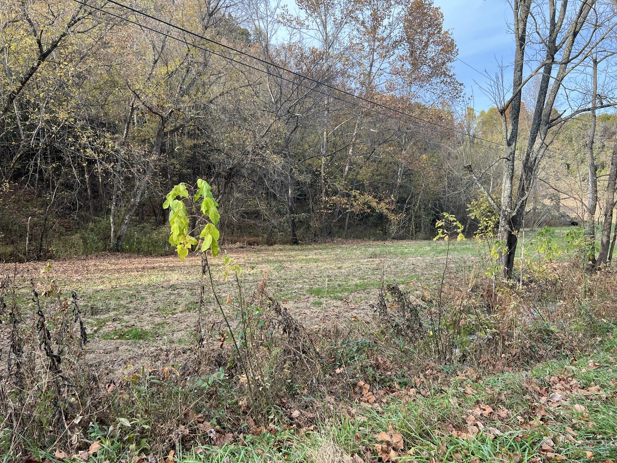 614 Gass Memorial Road Greeneville, TN 37745 - Photo 30 of 47 IMG_6859