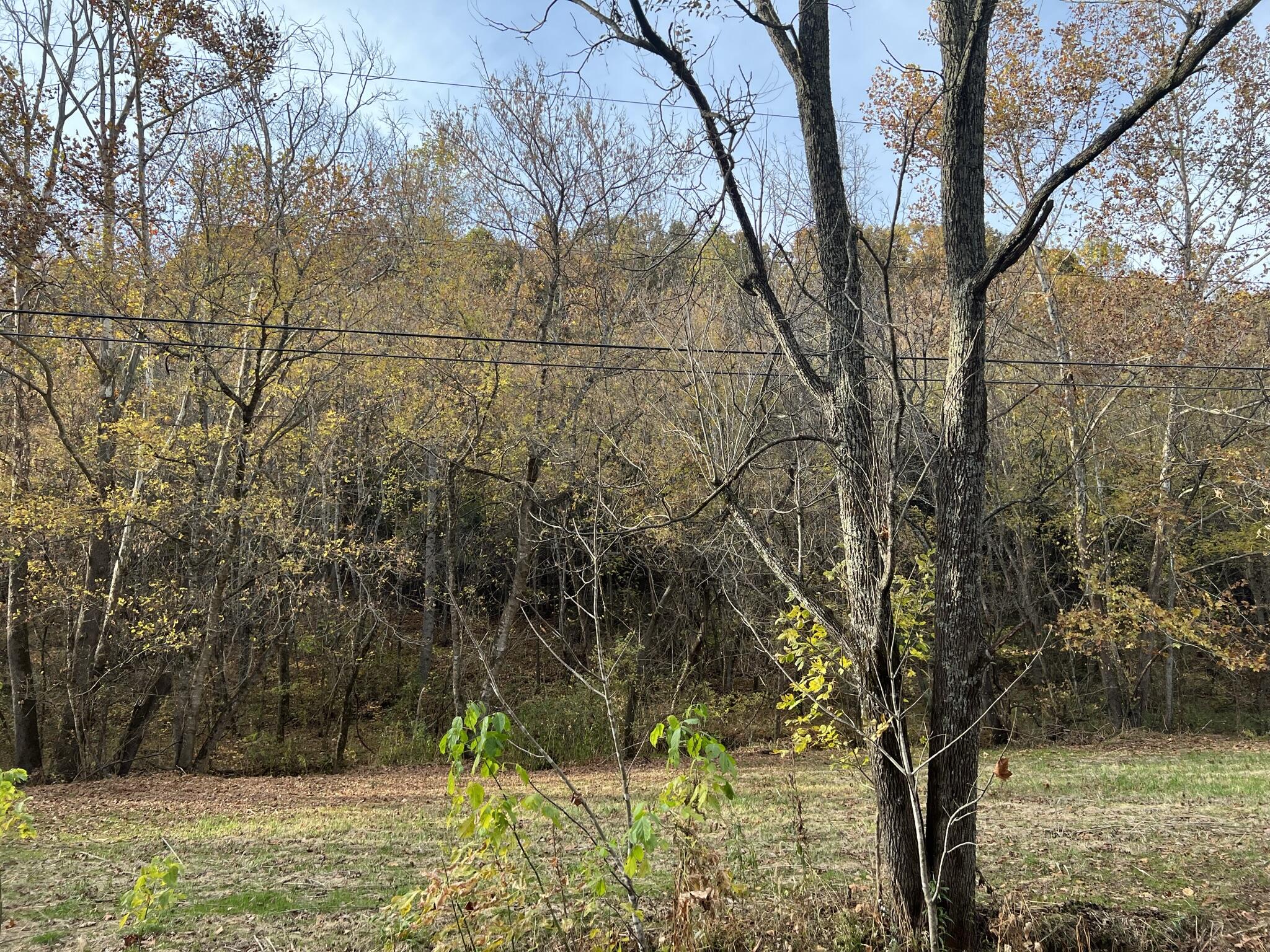 614 Gass Memorial Road Greeneville, TN 37745 - Photo 32 of 47 IMG_6861