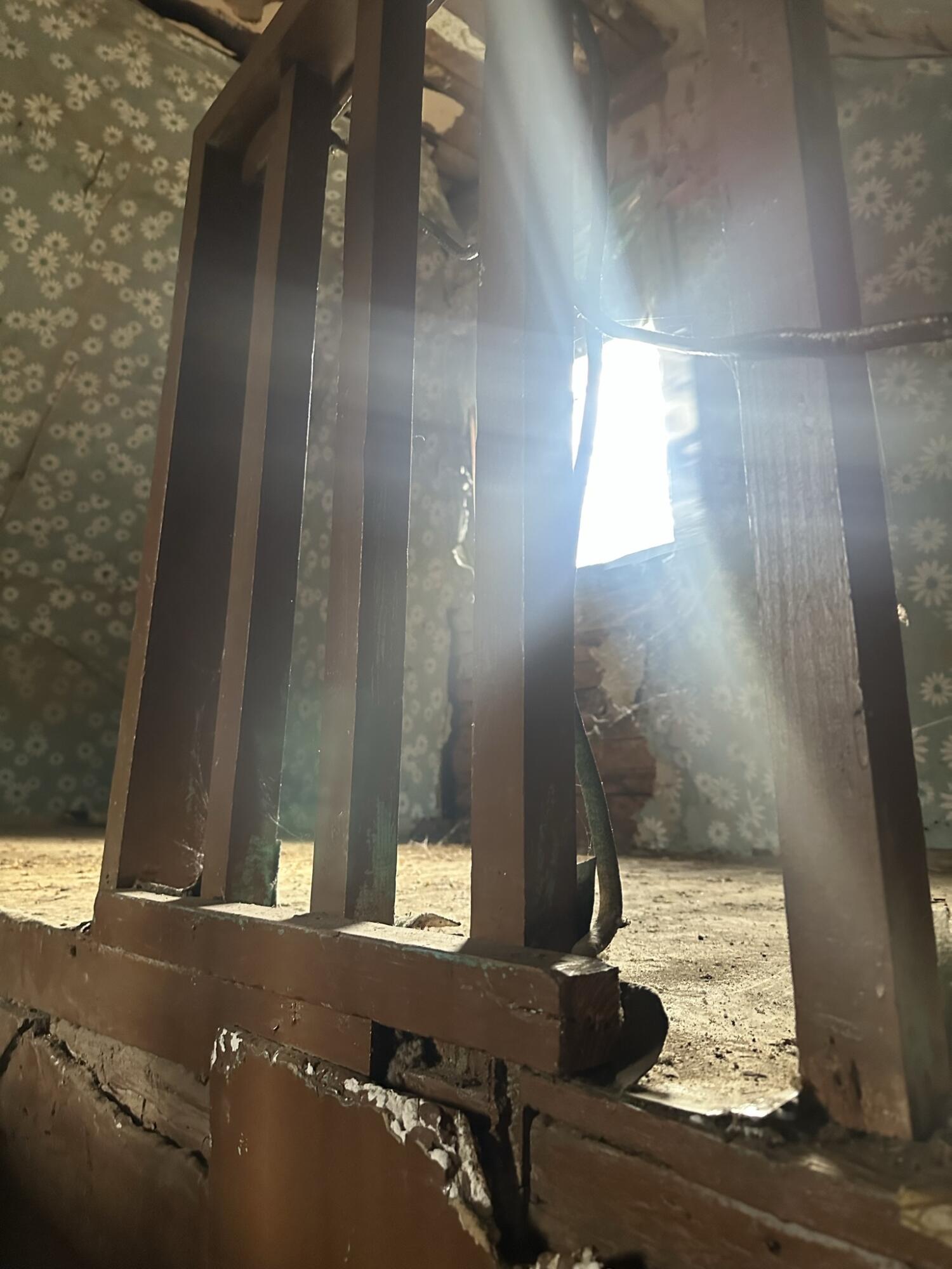 614 Gass Memorial Road Greeneville, TN 37745 - Photo 37 of 47 IMG_0193