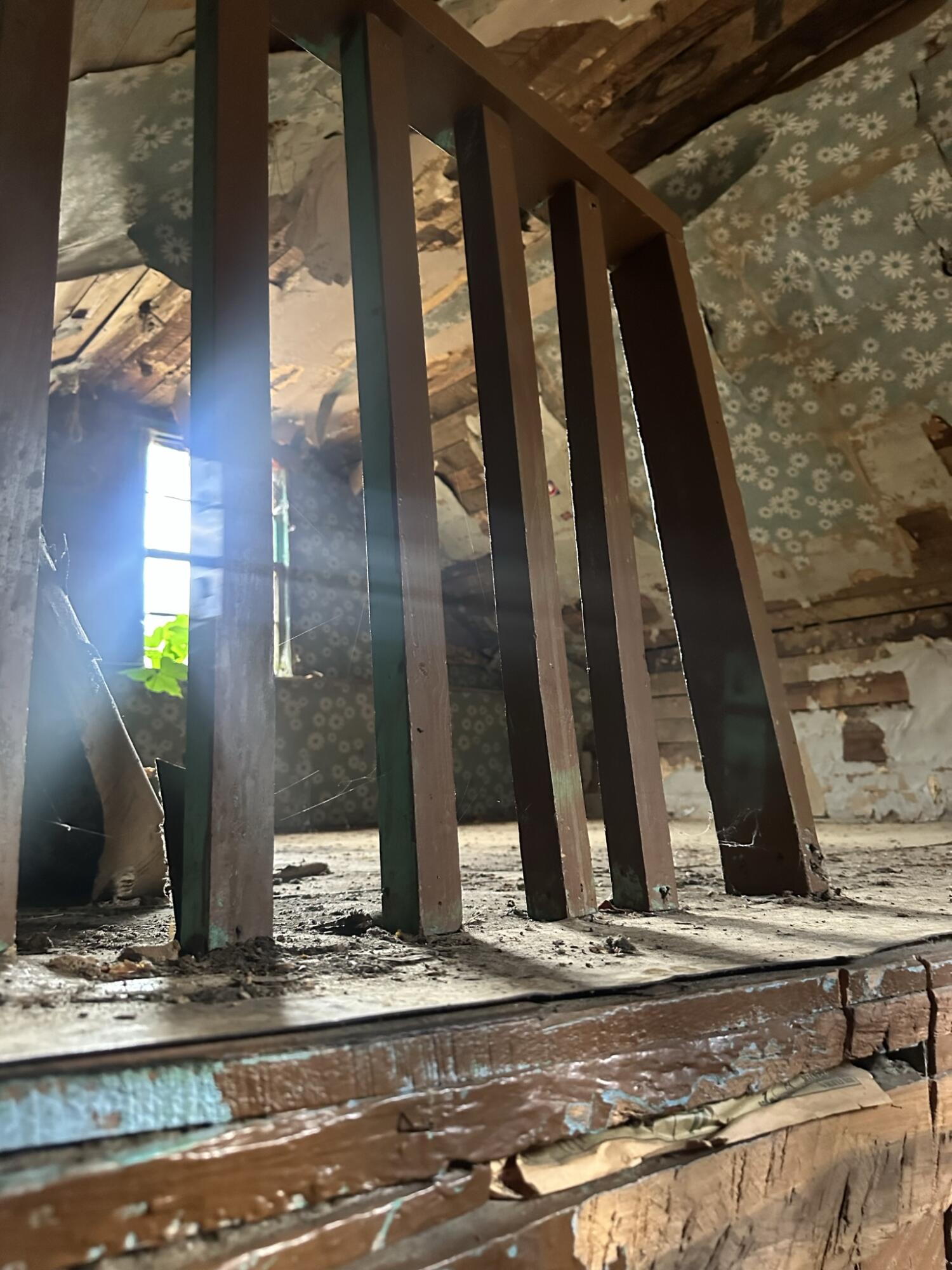 614 Gass Memorial Road Greeneville, TN 37745 - Photo 44 of 47 IMG_0192