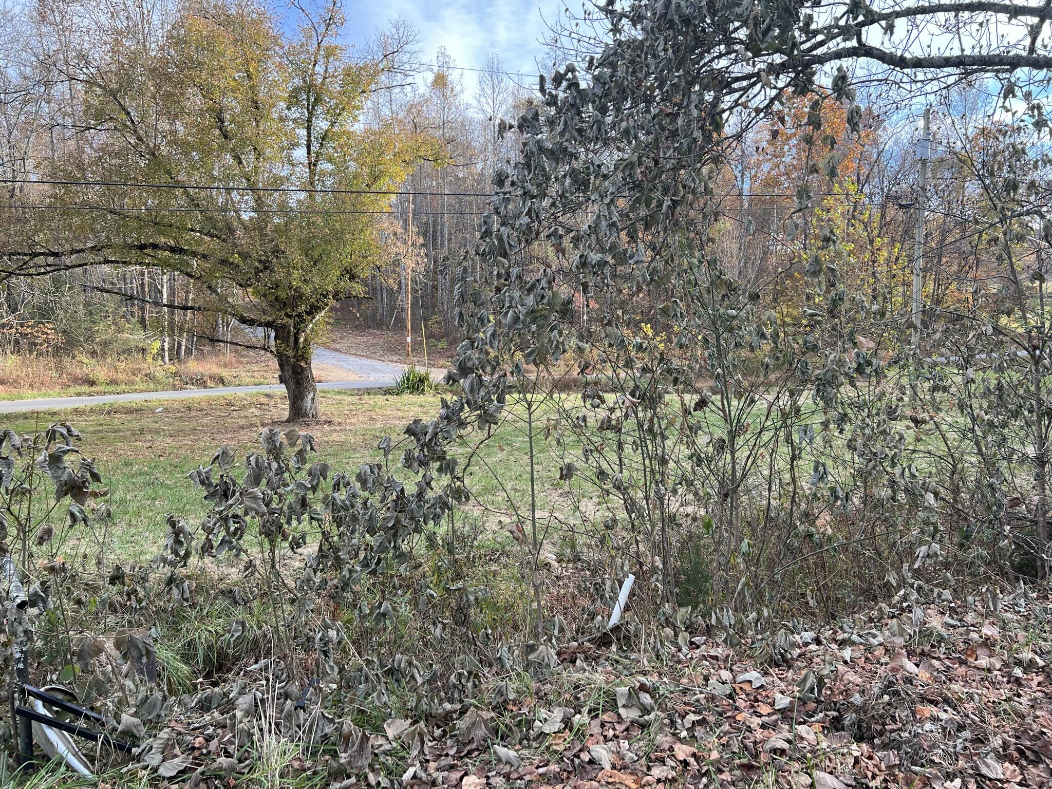 614 Gass Memorial Road Greeneville, TN 37745 - Photo 45 of 47 IMG_6867