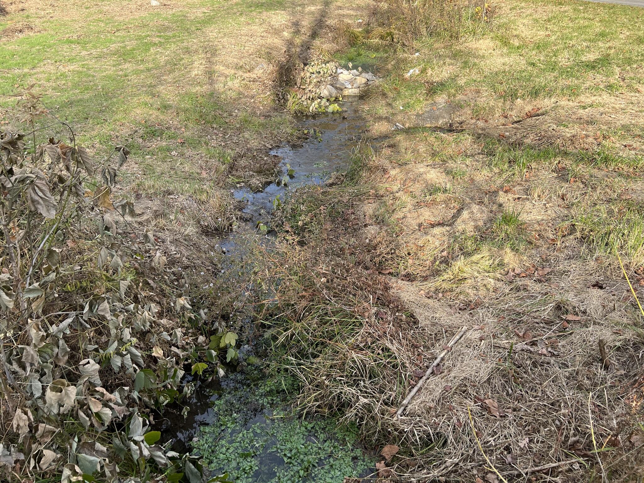 614 Gass Memorial Road Greeneville, TN 37745 - Photo 6 of 47 IMG_6835