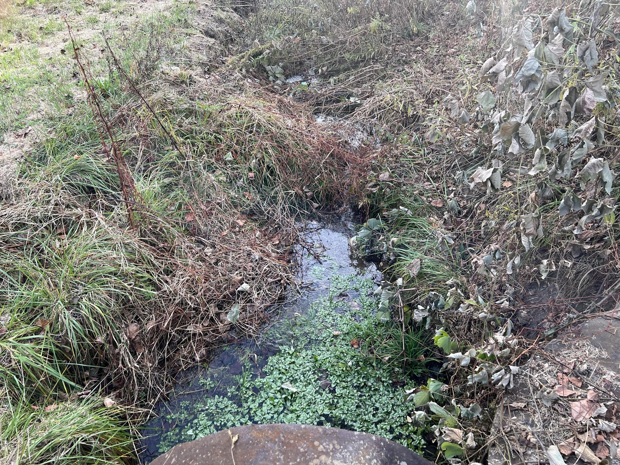 614 Gass Memorial Road Greeneville, TN 37745 - Photo 7 of 47 IMG_6836