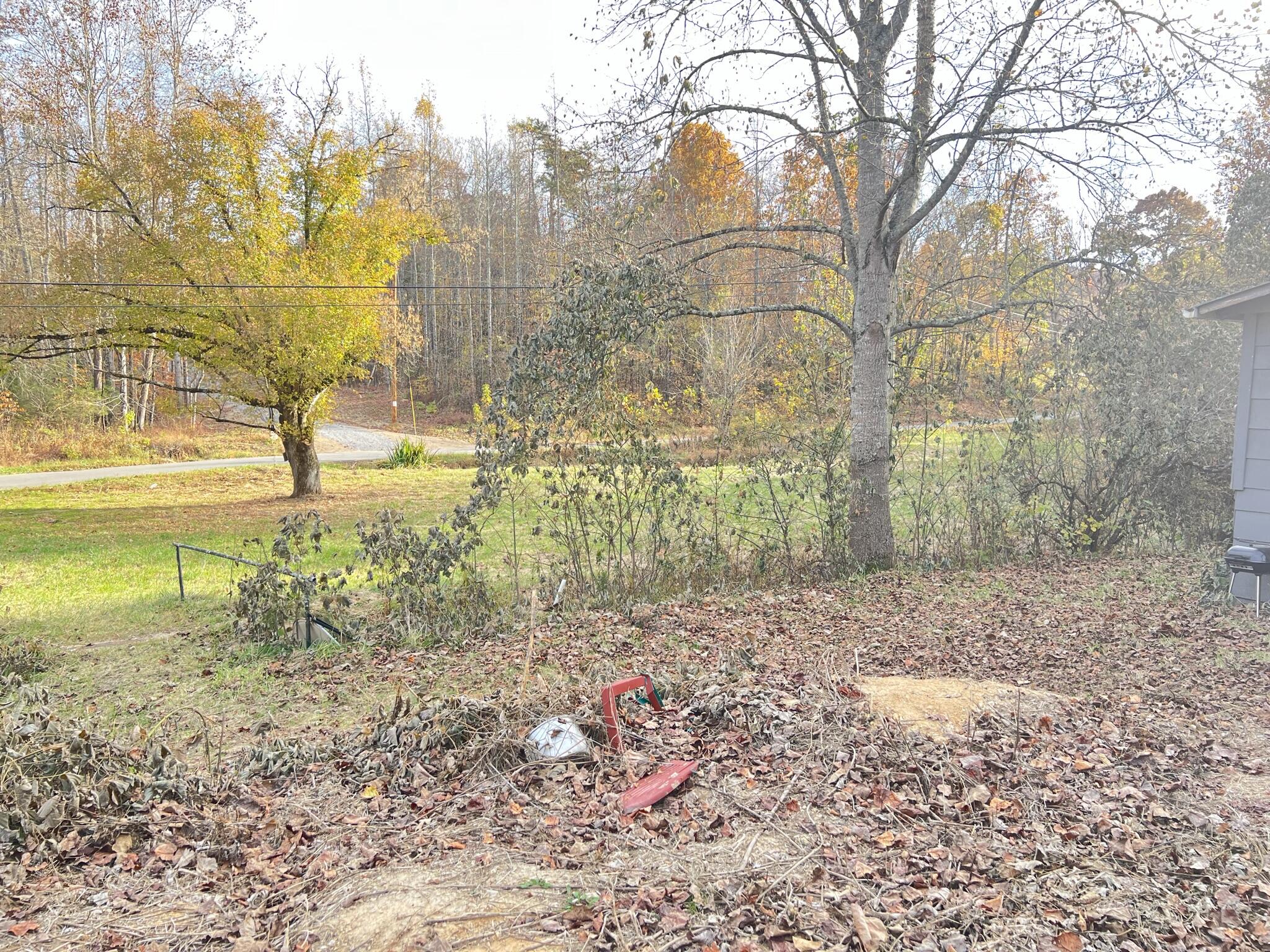 614 Gass Memorial Road Greeneville, TN 37745 - Photo 9 of 47 IMG_6838