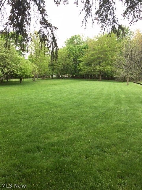 28838 Eddy Road Wickliffe, OH 44092 - Photo 4 of 24 Gallery Image 4