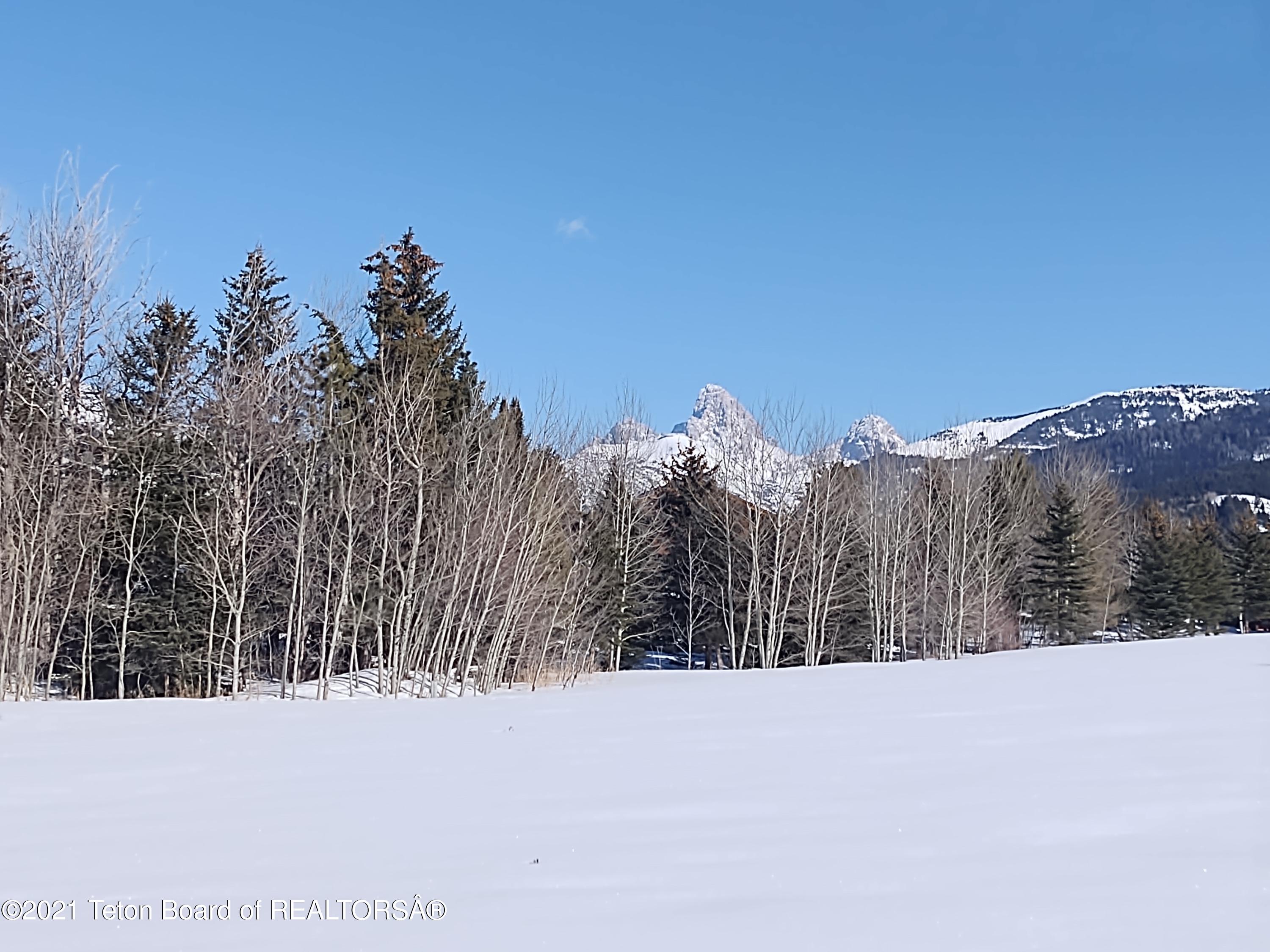 445 Targhee Towne Road Alta, WY 83414 - Photo 2 of 16 SE Teton View Winter