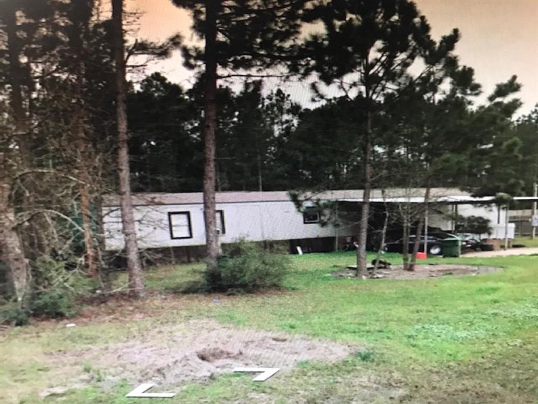 19278 Amy Lane Porter, TX 77365 - Photo 12 of 12 a view of a park with plants and large tree