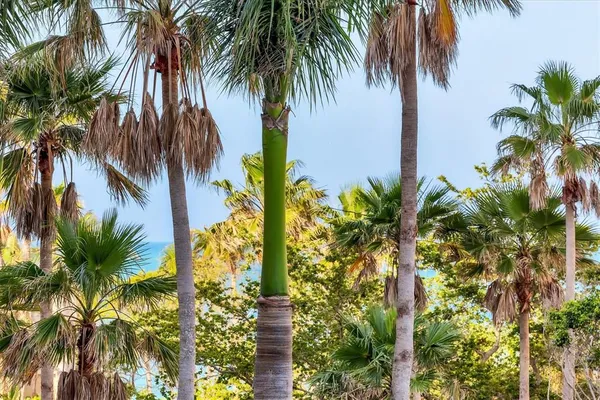 $20,000 | 1300 Benjamin Franklin Drive, Unit 304, Sarasota, FL 34236