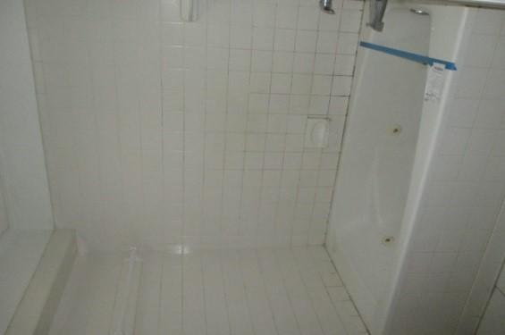 2021 Swelling Road Ferrum, VA 24088 - Photo 14 of 18 Master bath