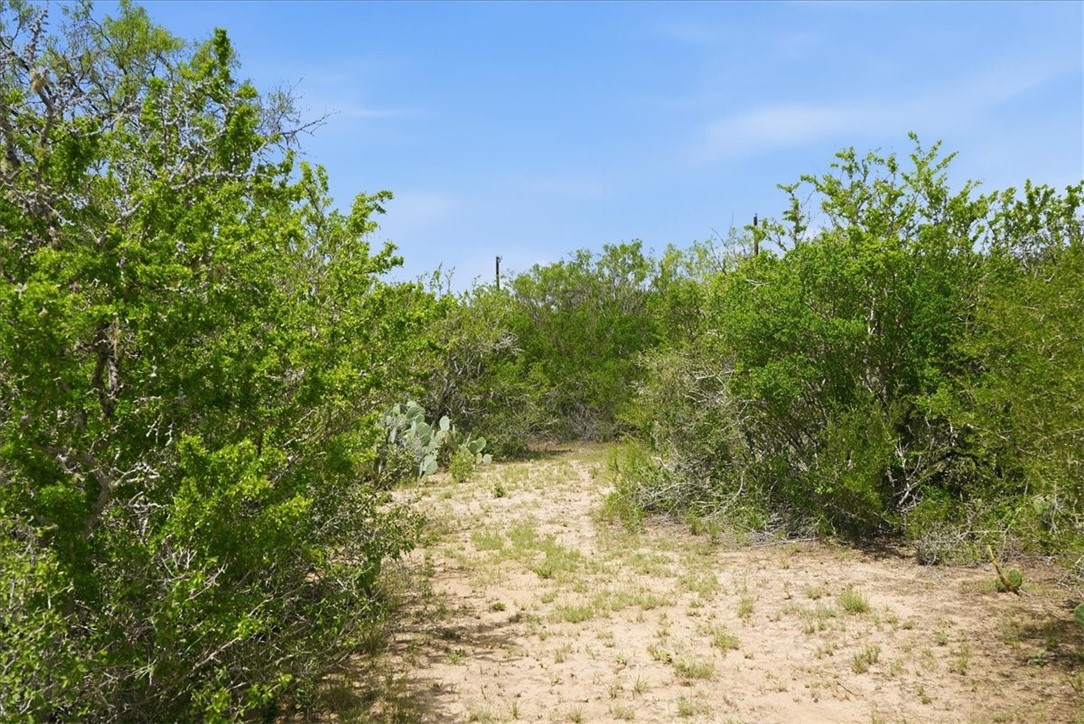 140 Choke Canyon Estates Drive Three Rivers, TX 78071 - Photo 2 of 17