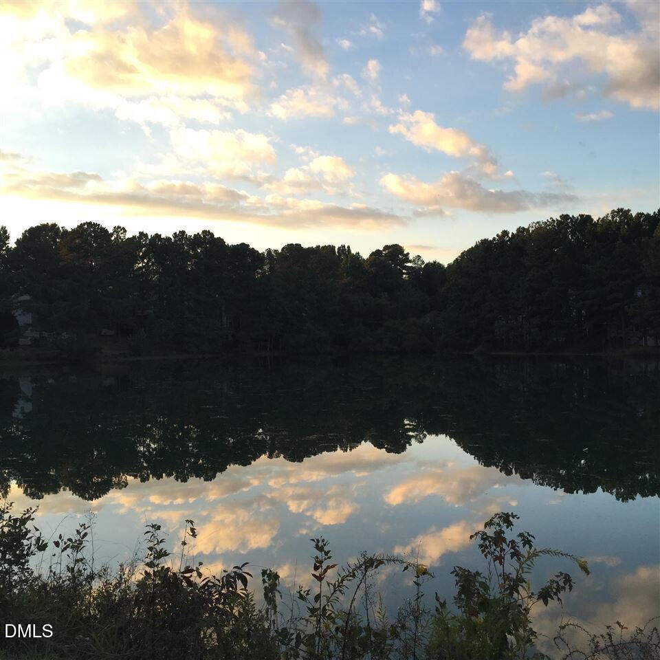 2804 Shofield Court Raleigh, NC 27615 - Photo 33 of 37 a view of a snow in a field