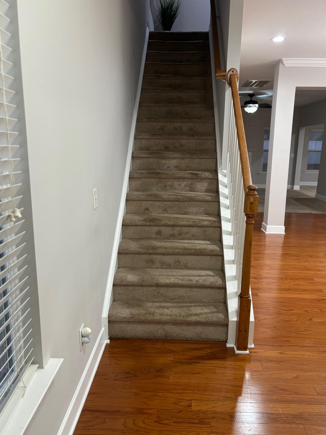 322 Bracken Fern Road Moncks Corner, SC 29461 - Photo 4 of 41 IMG_3691