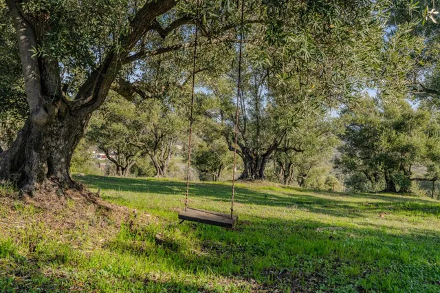 a front view of house with yard and trees in the background