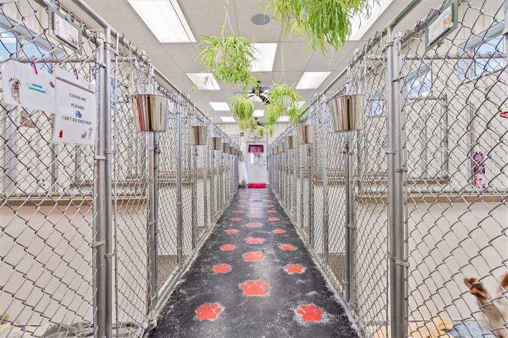 173 Amsterdam Road Grove City, PA 16127 - Photo 21 of 25 a view of entryway with flower pots