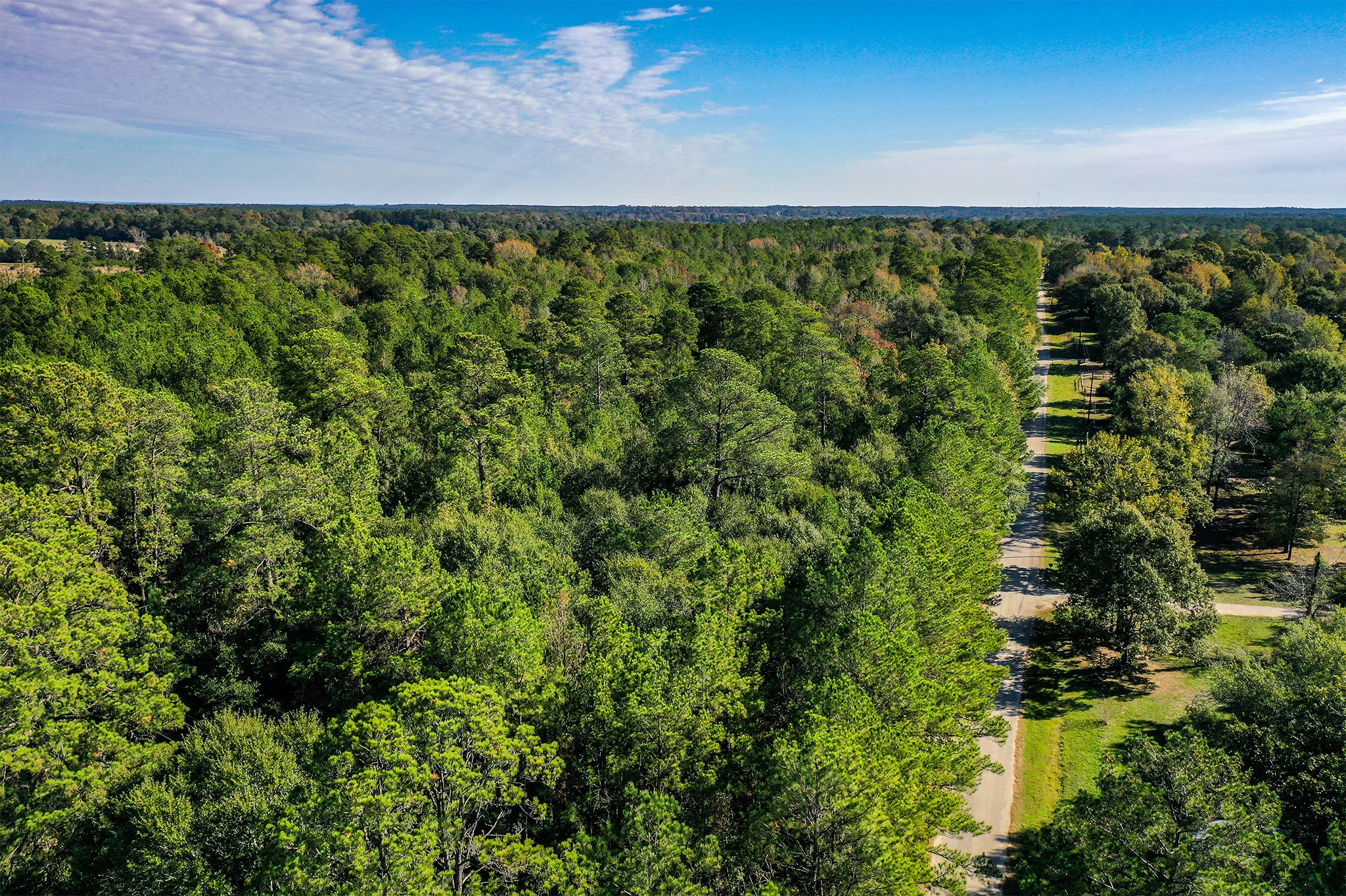 2 Fm 405 Huntsville, TX 77320 - Photo 3 of 12