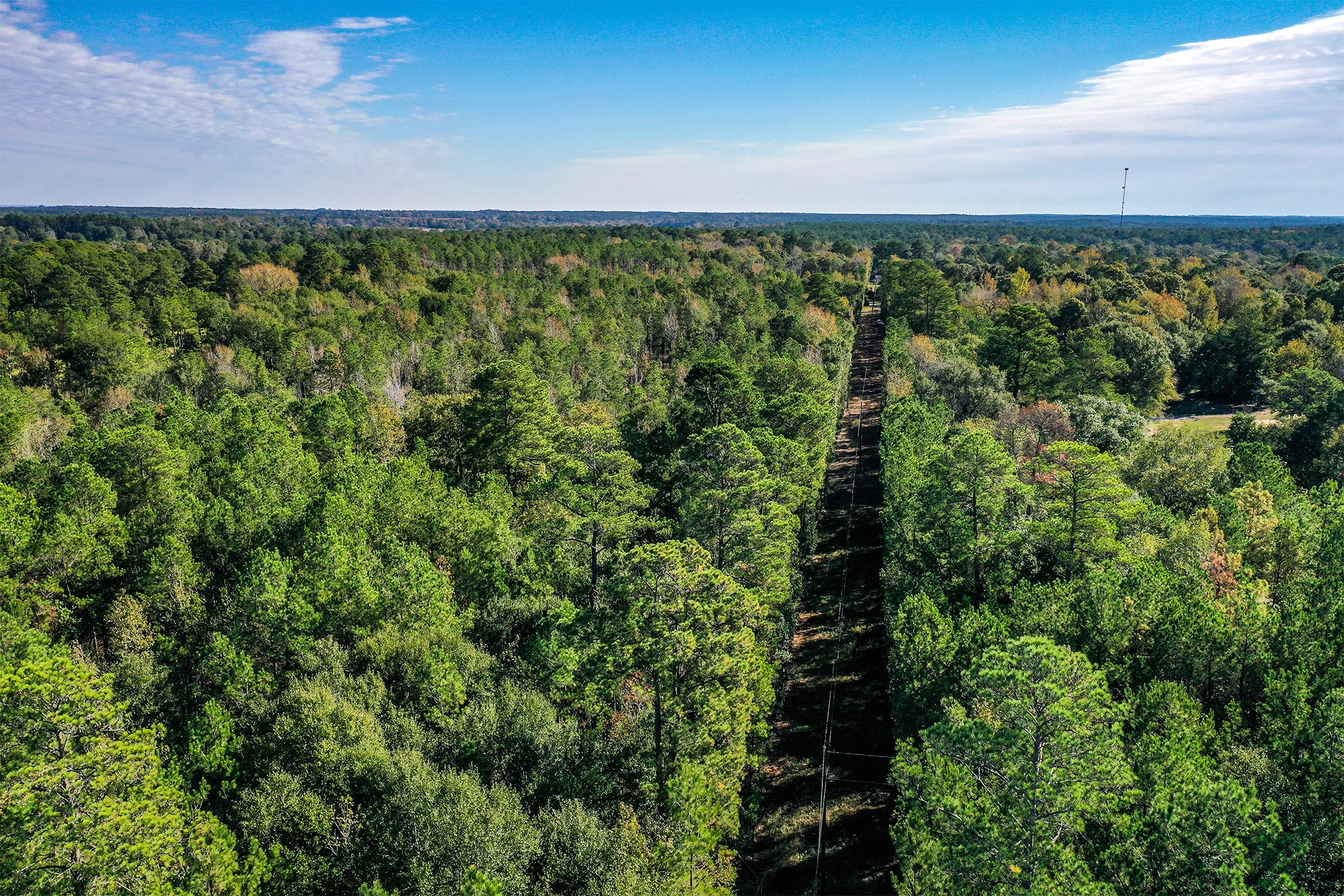 2 Fm 405 Huntsville, TX 77320 - Photo 5 of 12