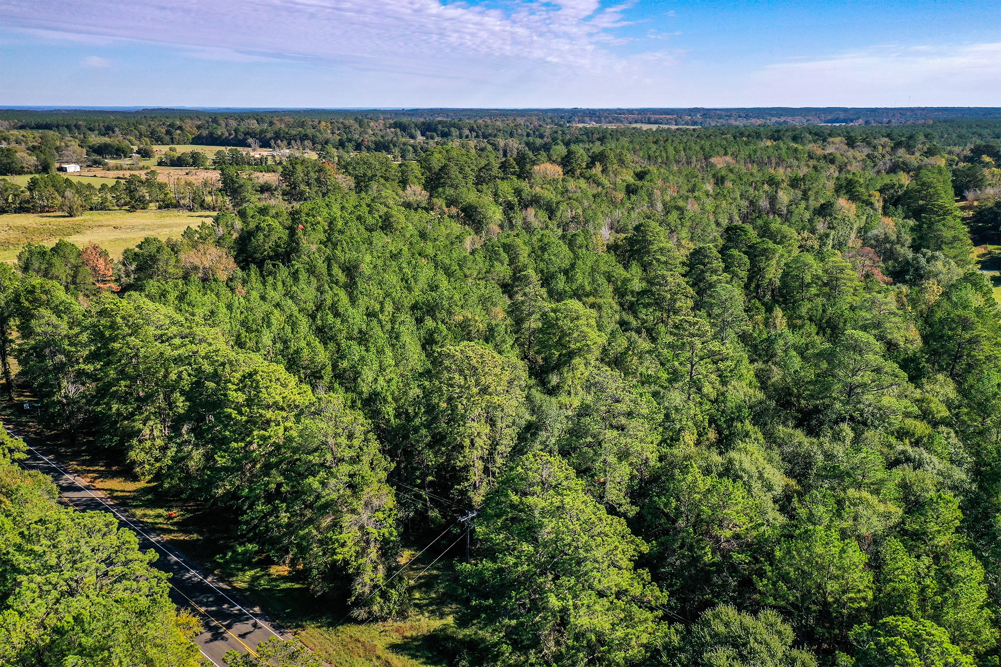 2 Fm 405 Huntsville, TX 77320 - Photo 6 of 12