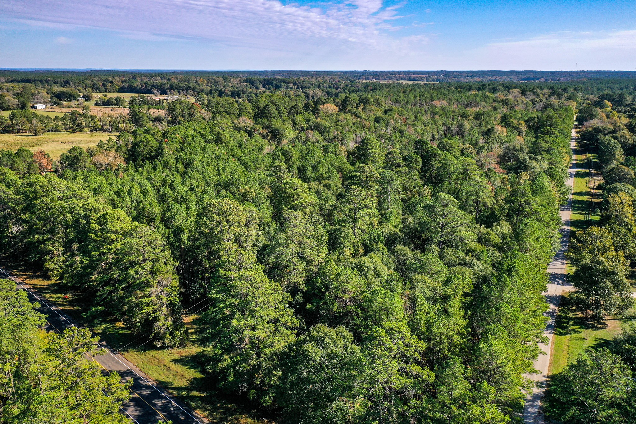 2 Fm 405 Huntsville, TX 77320 - Photo 7 of 12