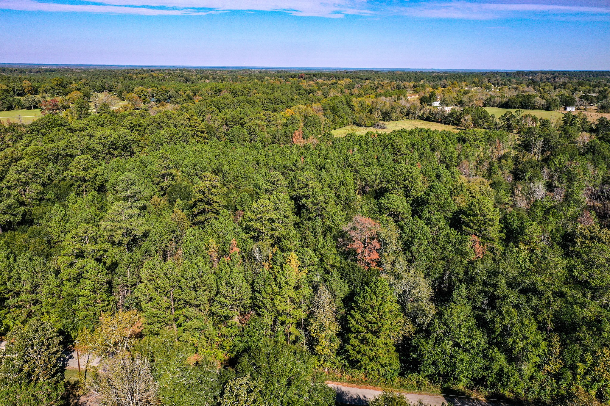 2 Fm 405 Huntsville, TX 77320 - Photo 8 of 12