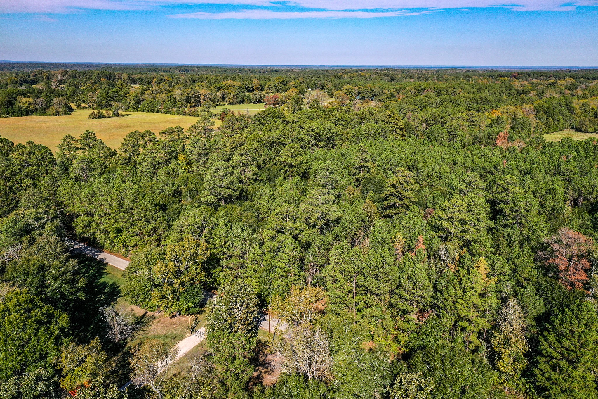 2 Fm 405 Huntsville, TX 77320 - Photo 9 of 12