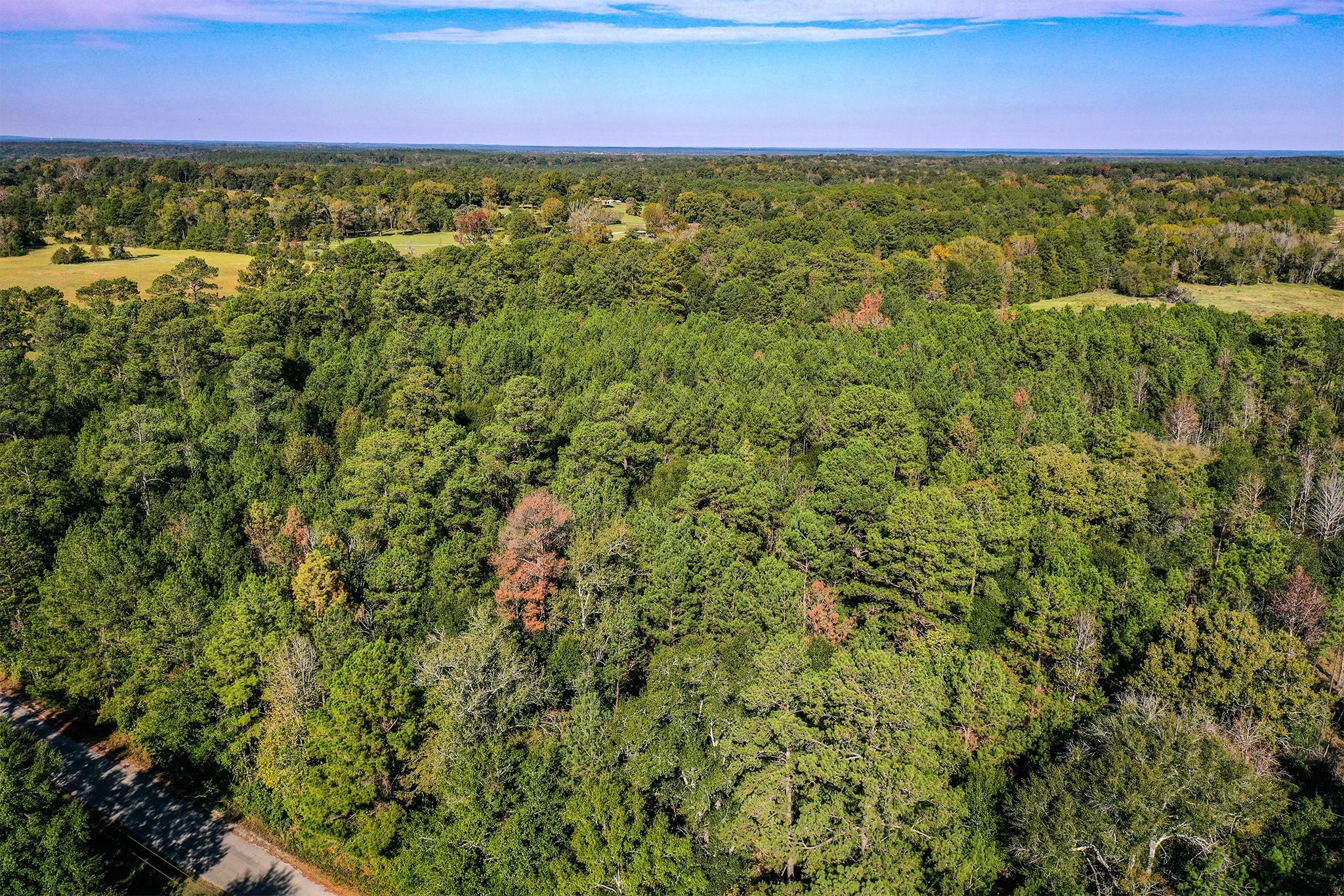 2 Fm 405 Huntsville, TX 77320 - Photo 10 of 12