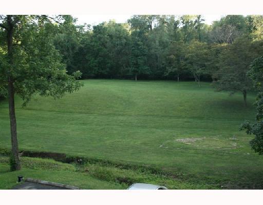 219 Park View Road Eighty Four, PA 15330 - Photo 8 of 13 Land/Lot. rear yard
