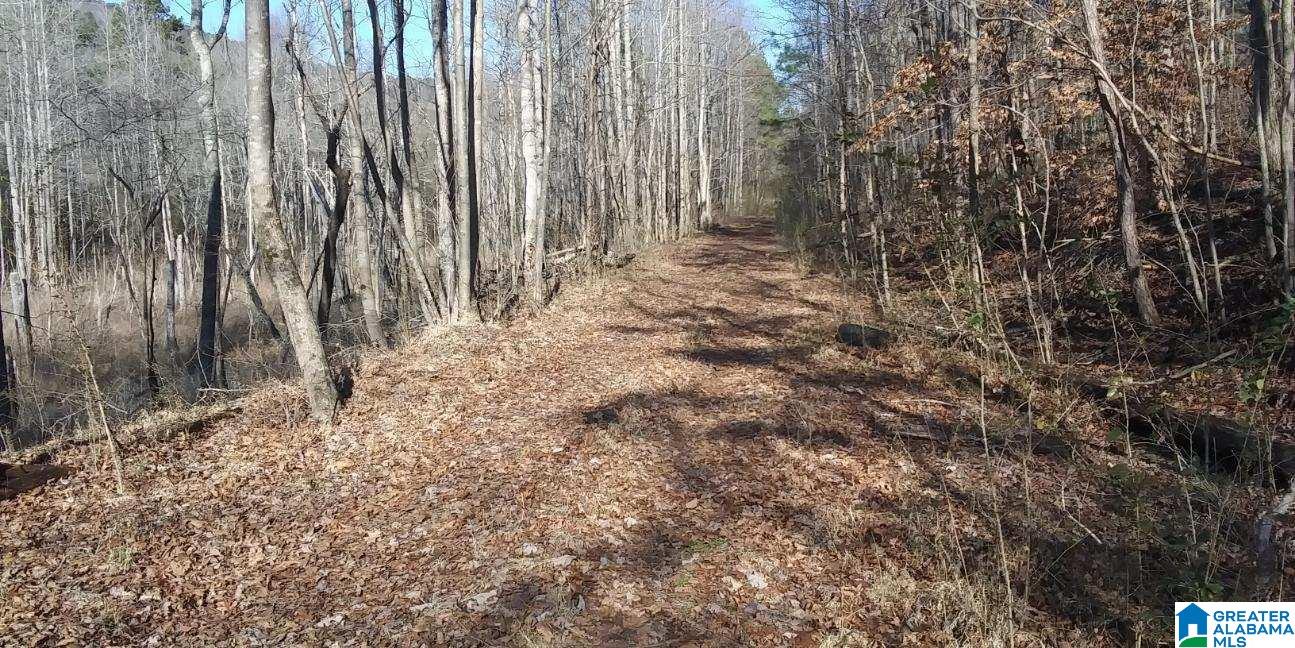 0 Owls Hollow Road, Unit 51 Gadsden, AL 35901 - Photo 3 of 9