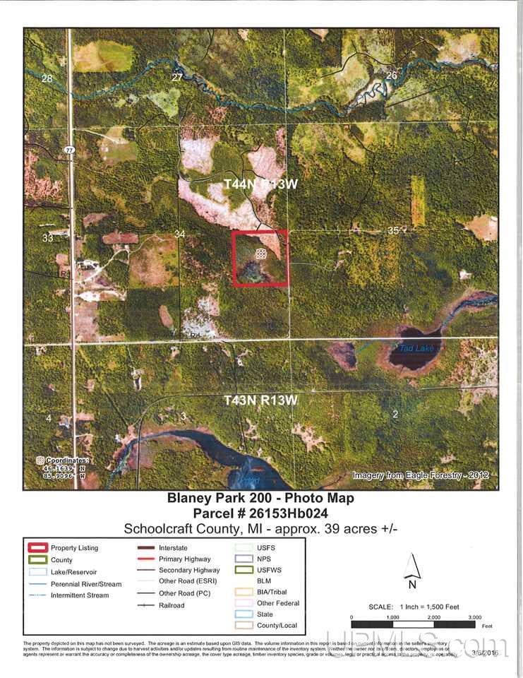 40-acres East Edge Road Germfask, MI 49836 - Photo 24 of 24 Gallery Image 24