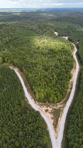 $65,000 | 1477 Hawthorn Drive, Linden, TN 37096