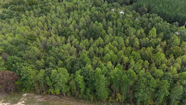 $65,000 | 1477 Hawthorn Drive, Linden, TN 37096