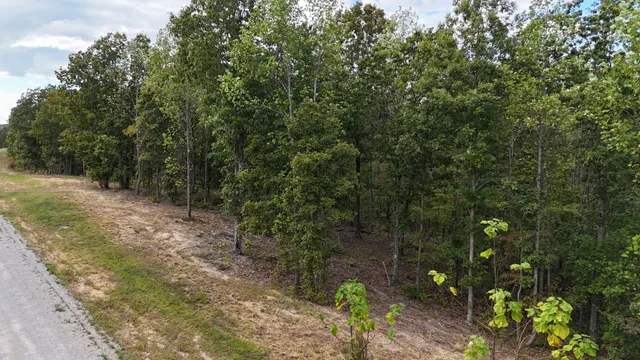 $65,000 | 1477 Hawthorn Drive, Linden, TN 37096