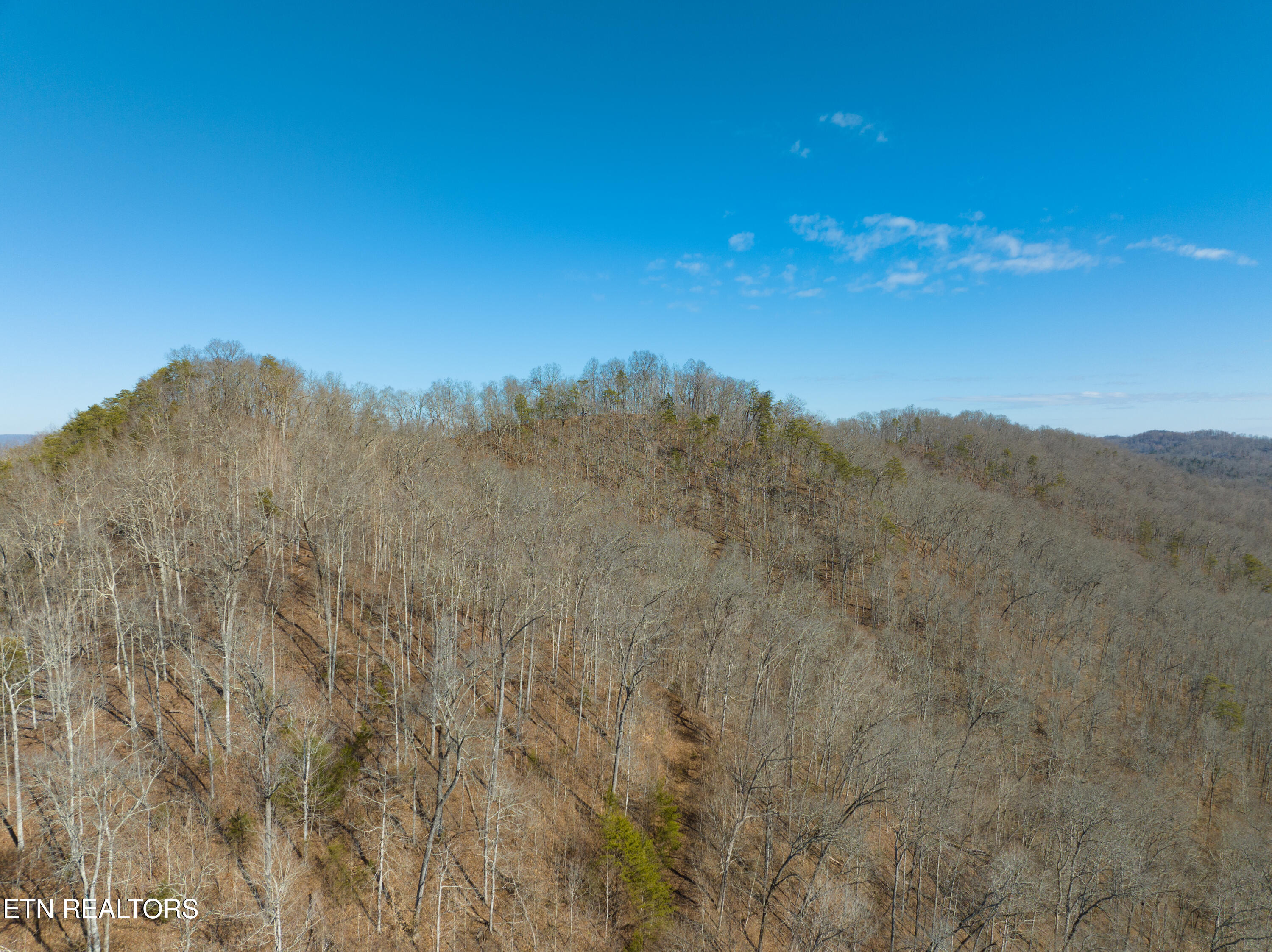 118 Providence Road Sneedville, TN 37869 - Photo 18 of 20 ENGLISH 2-24