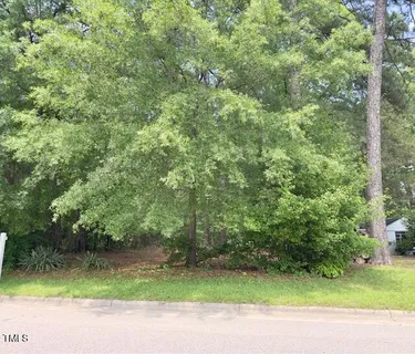 a view of a yard with a small plants and trees
