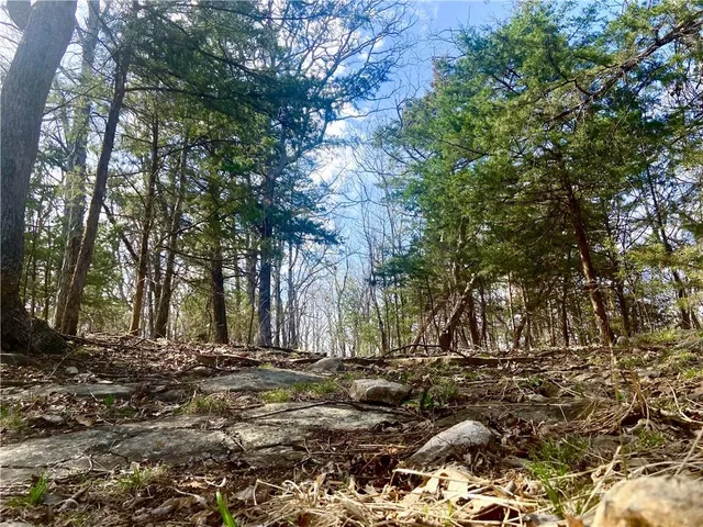 $110,000 | Tbd Northeast 779 Road, Lowry City, MO 64763