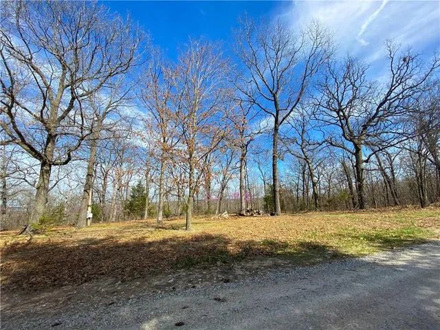 $110,000 | Tbd Northeast 779 Road, Lowry City, MO 64763