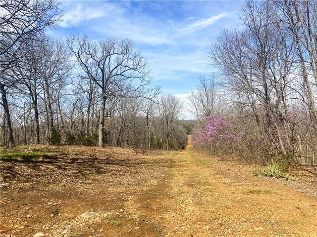 $110,000 | Tbd Northeast 779 Road, Lowry City, MO 64763