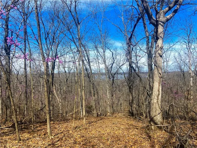 $110,000 | Tbd Northeast 779 Road, Lowry City, MO 64763