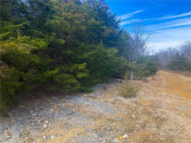 $110,000 | Tbd Northeast 779 Road, Lowry City, MO 64763