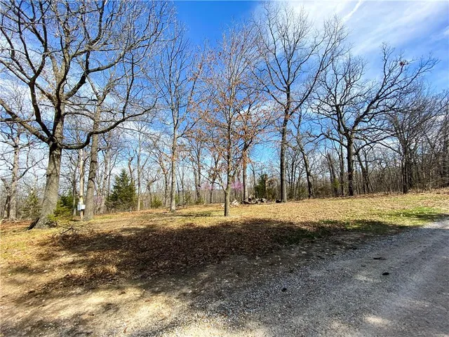 $110,000 | Tbd Northeast 779 Road, Lowry City, MO 64763