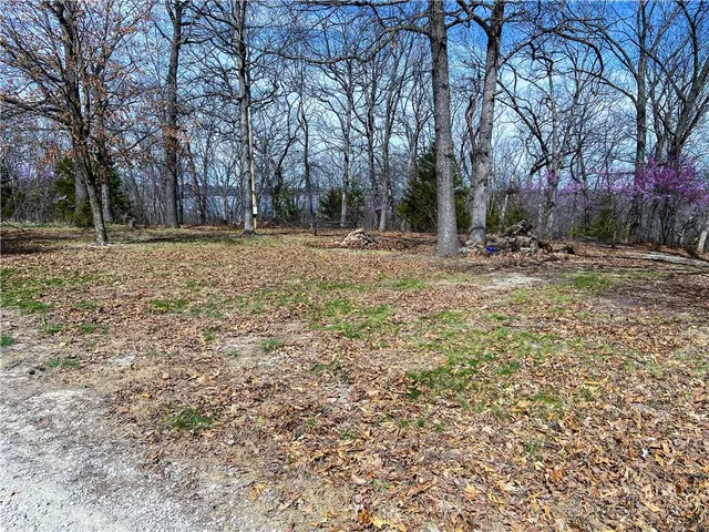 $110,000 | Tbd Northeast 779 Road, Lowry City, MO 64763