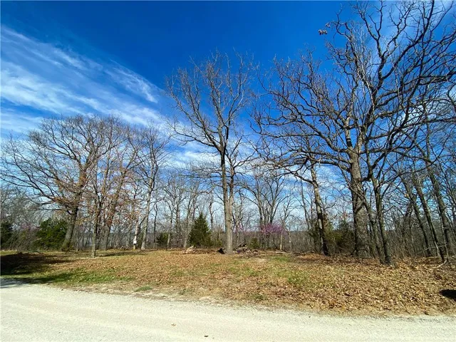 $110,000 | Tbd Northeast 779 Road, Lowry City, MO 64763