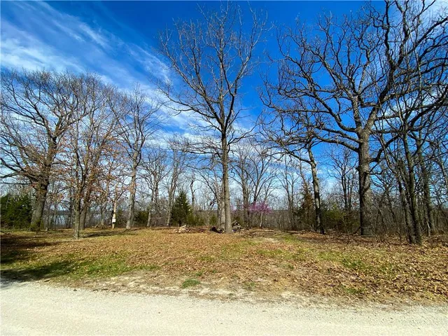 $110,000 | Tbd Northeast 779 Road, Lowry City, MO 64763