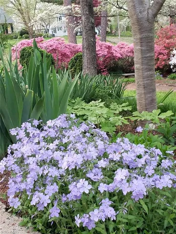 $595,800 | 403 Weaver Drive, Lexington, NC 27292