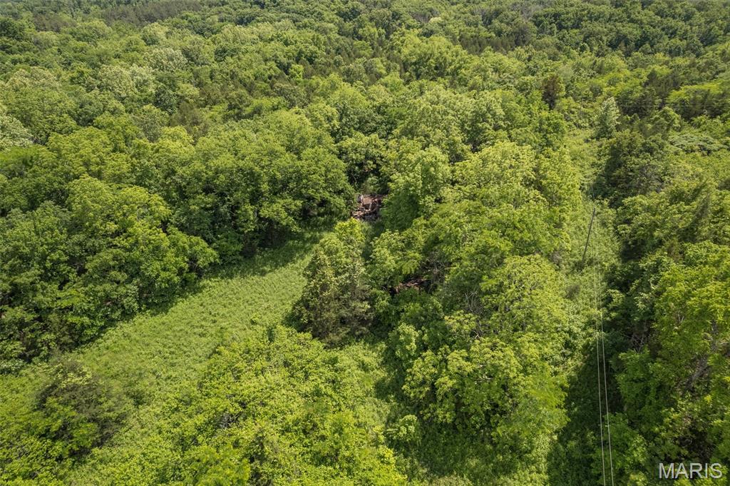 23201 Private Drive Duke, MO 65461 - Photo 17 of 30