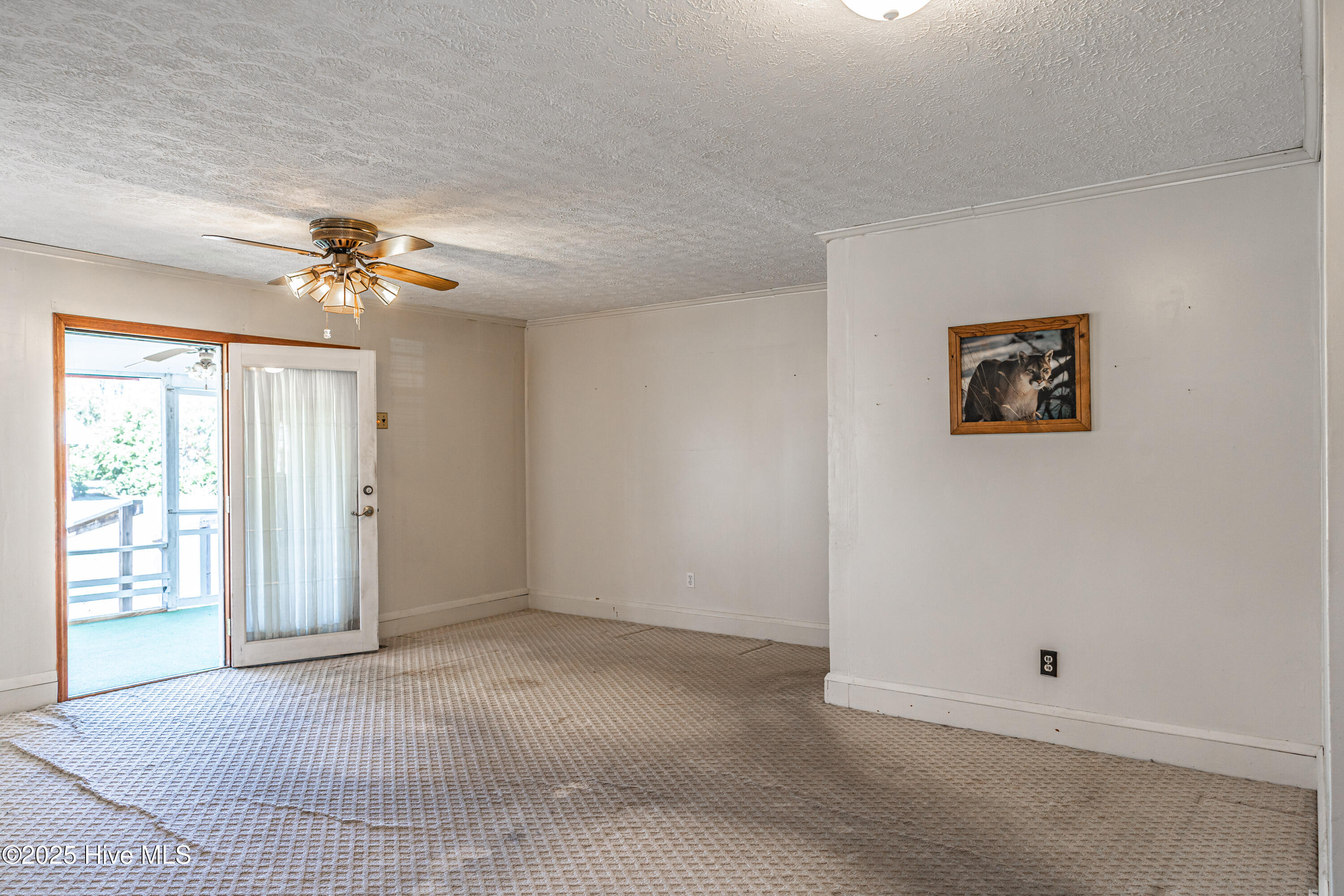 152 Gibbons Street Hamlet, NC 28345 - Photo 18 of 69 DSC04366