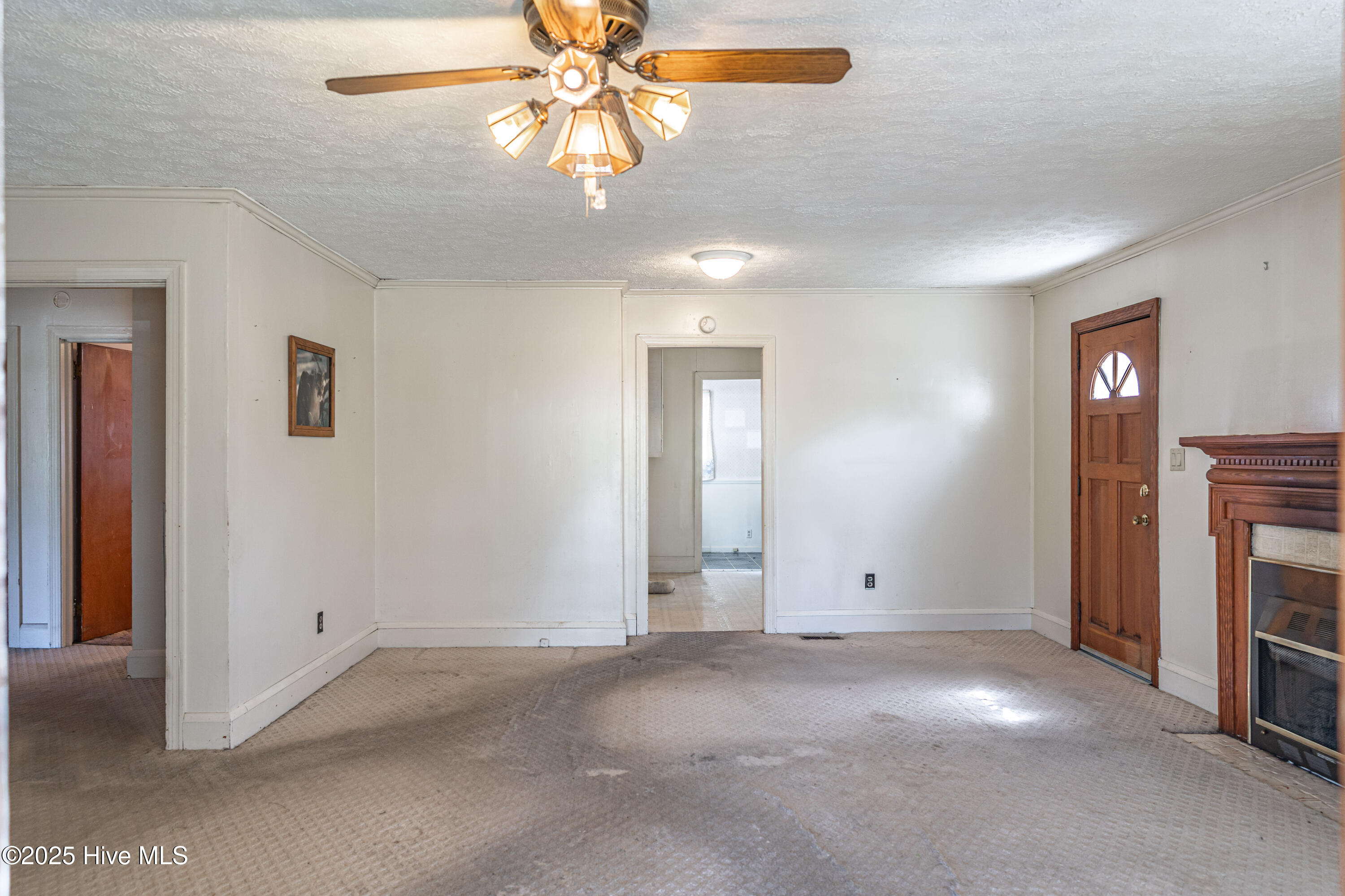 152 Gibbons Street Hamlet, NC 28345 - Photo 19 of 69 DSC04367